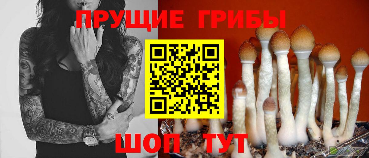 Саратов  Псилоцибиновые грибы ЛСД  Вход с VPN 